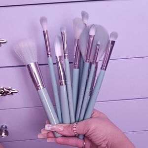 NWIT 10 piece Royal & Langnickel Brush Set
